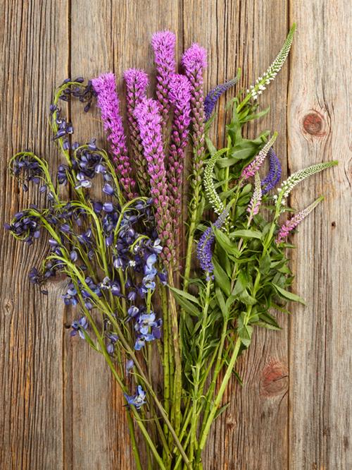 ECUADORIAN ASSORTED FIELD FLOWER COMBO BOX #3